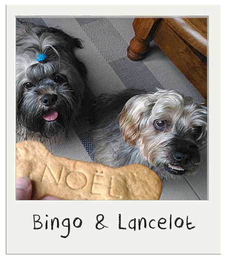 Bingo et Lancelot